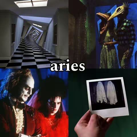 A collage of images from Tim Burton movies, including scenes from Beetlejuice, Corpse Bride, and Edward Scissorhands, as well as the iconic hallway from Beetlejuice. The word 'aries' is in large white text in the center.