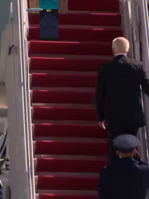 The image is a medium shot of a man in a suit ascending a staircase with a red carpet. The person is seen from behind, wearing a dark suit and walking up the stairs. The stairs are lined with a red carpet, and the setting appears to be outdoors or near an aircraft, possibly at an airport.