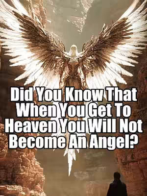The image features a majestic angel with large, detailed wings, set against a backdrop of what seems to be a mountainous or cavernous environment. The angel is positioned centrally, its wings spanning the majority of the frame and slightly overlapping the top text. The text overlay is a set of white bold text with a black border that says 'Did You Know That When You Get To Heaven You Will Not Become An Angel?'.