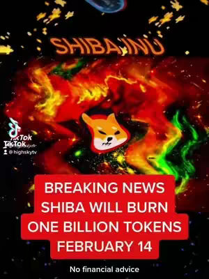 The image has a vertical layout with a black background. The upper half has a fiery red and yellow gradient background with the word 'SHIBAINU' in orange flames. The Shiba Inu logo is at the center. Below, a red rectangular box with white text states, 'BREAKING NEWS, SHIBA WILL BURN, ONE BILLION TOKENS, FEBRUARY 14.' At the bottom, there's a disclaimer, and on the left corner a Tik Tok logo.