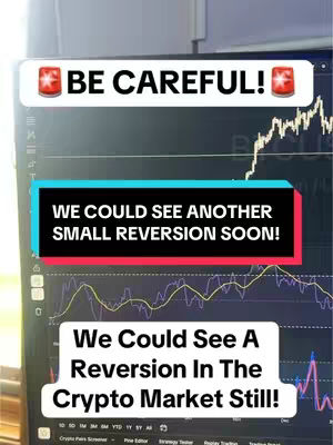 The image shows a screen displaying a cryptocurrency chart with overlaid text elements. The screen shows a complex graph with data lines and points. The content is set inside a vertical format. Overlaid on the graph are multiple text boxes, which include the words 'BE CAREFUL!', 'WE COULD SEE ANOTHER SMALL REVERSION SOON!', and 'We Could See A Reversion In The Crypto Market Still!'. The image has a professional, data-driven aesthetic related to investment analysis.