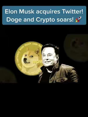 The cover image features a vibrant graphic with text overlayed on a dark background. The focal point is a gold coin with the Doge meme on one side, overlaid on an illustration of Elon Musk to the right. The background is black, enhancing the visibility of the coin and Elon Musk.