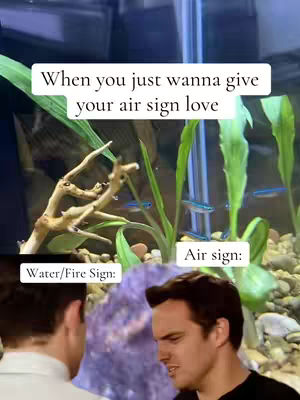 The cover image shows a split-screen scene with an aquarium background. Texts are overlaid on the cover image describing meme.