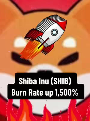 The cover image features a cartoon Shiba Inu head in the background, with a jet rocket in the center. There is text in a black rectangle that reads: Shiba Inu (SHIB) Burn Rate up 1,500%. The rocket is in the center and has a flame burning from the bottom.