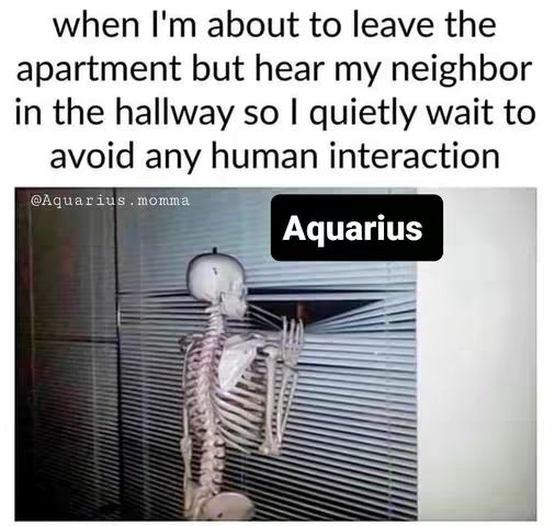 A meme features a skeleton peering through blinds. Text overlays at the top describe a relatable situation of avoiding neighbors. A black rectangle with the word "Aquarius" sits in the top center, branding the content. The image is largely grayscale with the skeleton as the central figure.