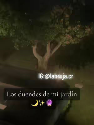A night scene featuring a tree with a branching, light-colored trunk. A rectangular black text box at the bottom reads: "Los duendes de mi jardín", along with a crescent moon, stars, and a purple crystal ball emoji. The background is dark and slightly out of focus, suggesting a park or garden setting at night.