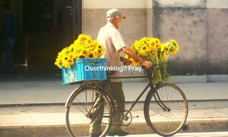 An elderly man rides a bicycle carrying a load of large, bright yellow sunflowers. He wears a light-colored shirt, a baseball cap, and khaki pants. The bicycle is old with a dark frame and the sunflowers are in blue crates, with some also tied on the handlebars. The background shows a building facade with a street scene.