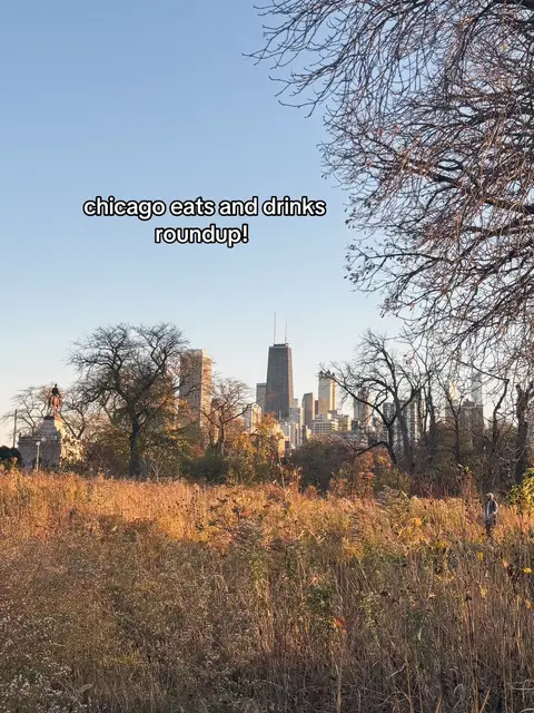 The cover image shows a scenic view with tall buildings in the distance, possibly a city's skyline. There's a field of tall, dry grass in the foreground. A text overlay at the top reads 'chicago eats and drinks roundup!'