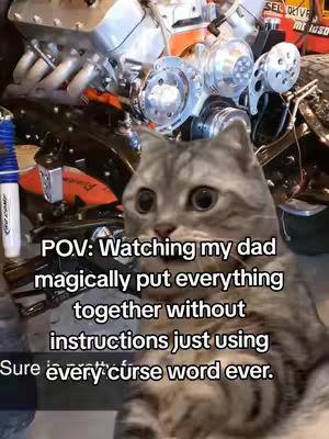 A cat looks at the camera, a car engine in the background, with overlaid text.