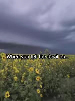 The image shows a field of yellow sunflowers under a dark, cloudy sky. Text is overlaid on the image. It has a cinematic feel.