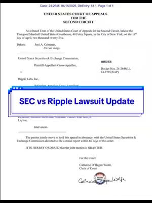 The cover image is a screenshot of a legal document from the United States Court of Appeals for the Second Circuit. The document is white with black text, and a blue box is overlaid, containing the text "SEC vs Ripple Lawsuit Update". The text is in a sans-serif font and is centered within the box.