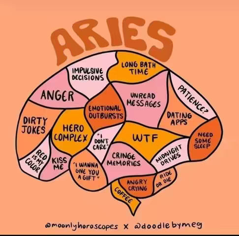 An illustration of a brain with sections labeled to represent different thoughts and behaviors, with the word 'ARIES' at the top. The brain is segmented into areas with phrases such as 'Impulsive Decisions,' 'Anger,' 'Dirty Jokes,' and 'Hero Complex,' each associated with specific emotions or traits.
