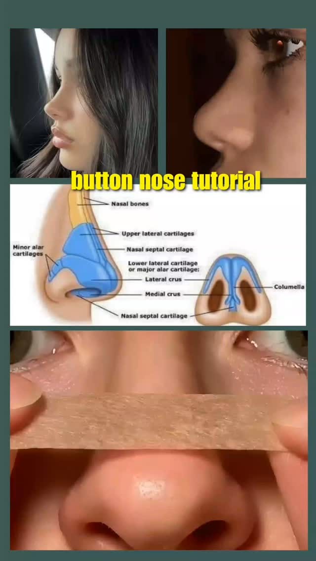 The cover image is a collage of elements, with the main focus on a demonstration of facial features. The top-left quadrant shows a side profile of a person, while the top-right quadrant focuses on the eye and nose. Below this collage is an educational illustration of a nose's internal structure, using labels and colors. Beneath that is a close-up of a nose with something being applied.