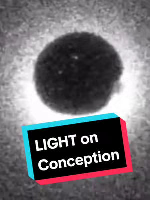 A grayscale image with a blurry background. A dark, circular object dominates the center, possibly an egg. Overlaid at the bottom is a rectangular graphic holding the text 'LIGHT on Conception' in bold, white font with a black background framed by a light blue and red border.