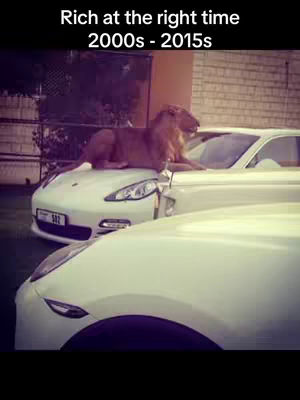 The cover image shows two white luxury cars, with a lion lounging on the hood of the car in the foreground. The text overlay reads 'Rich at the right time 2000s - 2015s.' The cars are positioned against a background that subtly suggests an outdoor setting.