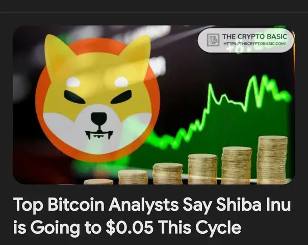 The cover image features the Shiba Inu logo with the background of stock charts, and the text below discusses cryptocurrency