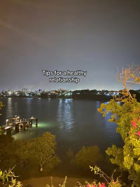 A nighttime view of a lake and city skyline. The water reflects lights from the city and a wooden pier on the left. Green vegetation frames the shot, and text is overlaid on the image.