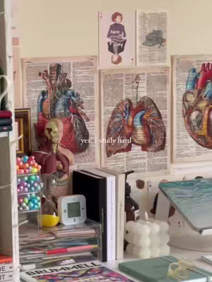 A still life of a study space, featuring anatomical drawings on the wall mixed with stationary items, books and a digital clock, and also a candle.