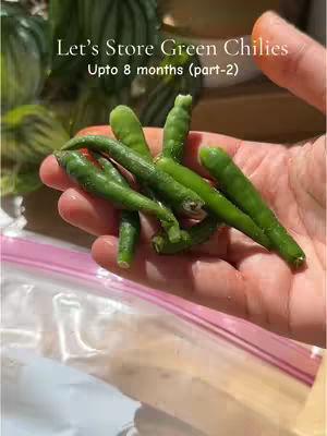 A hand holding a bunch of green chilies appears in front of a blurred background. Text overlayed on the image provides the main content, with the background blurred to emphasize the subject.