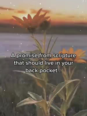 The cover image shows a tranquil sunset scene with tall grass and flowers in the foreground. In the middle of the image are flowers where a text overlay says: 'A promise from scripture that should live in your back pocket...'. The sky has a soft orange glow.