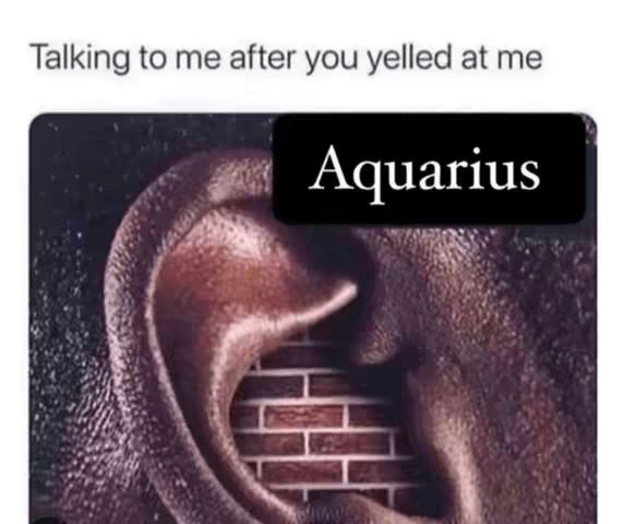 The image presents a close-up of a human ear with a section of brick wall visible inside the ear canal. The text "Aquarius" is overlaid on a black rectangle above the ear.