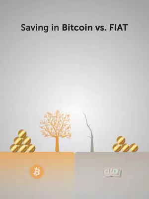 An illustrative image comparing Bitcoin and fiat currency. Bitcoin is represented by stacks of gold coins next to a healthy tree, while fiat currency is indicated by decaying tree next to a few bills.