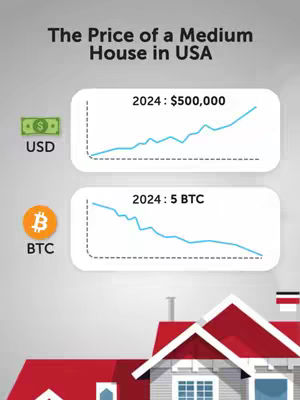 The cover image is a data visualization comparing the price of a medium house in the USA in 2024, shown in both USD and BTC. The image has a clean design with two graphs displaying the price trends, a house illustration at the bottom and text showing the title of the image