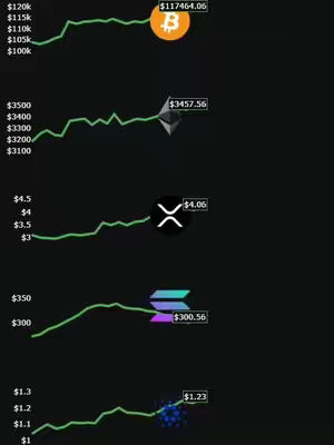 The image displays a dark background with several overlaid line graphs, each representing the price trends of different cryptocurrencies. Each graph has a small icon representing the cryptocurrency next to its current price. The Bitcoin graph is at the top and has a Bitcoin logo, followed by Ethereum, XRP, Solana and Cardano. The layout is vertical, and the overall composition is informative, highlighting the value of crypto.