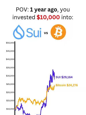 A graph comparing the performance of Bitcoin and SUI over a year, presented with overlaid text.