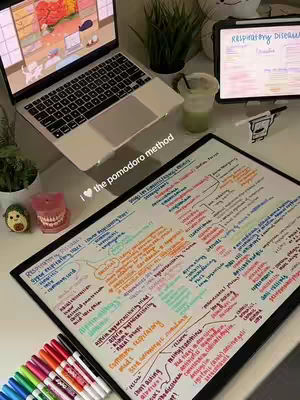 A well-lit, top-down view of a desk setup for studying. A laptop displays a webpage related to the brain. To the left of the laptop, there are decorative objects like an avocado and a tooth model, and there's a whiteboard displaying extensive notes in multiple colors. Colored markers are arranged in a neat line at the bottom, with other items such as an iPad and a drink visible.
