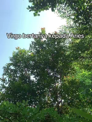 A vibrant shot looking upwards through the canopy of a lush green tree. The branches and leaves fill the frame, with glimpses of bright blue sky visible through the gaps. The text "Virgo bertanya kepada Aries" is overlaid in white, centered towards the top of the image.
