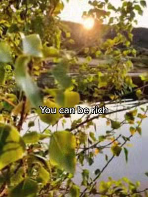 An image of nature with green leaves water and a bright sunset in the background. Overlayed on the image is text.