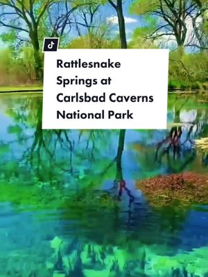 The cover image shows a vibrant, vertical shot of a natural spring. The water is crystal clear, showcasing the bottom with visible green plants and a vibrant turquoise hue. Reflections of green trees and blue sky create a mirrored effect. A white rectangular text overlay is placed in the center, detailing the name of the spot.