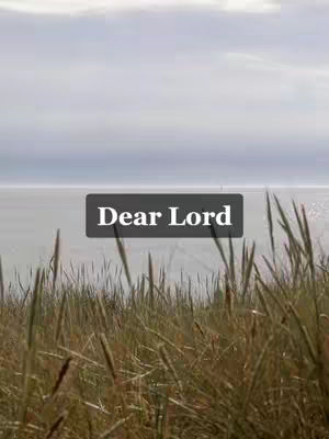The cover image is a tranquil landscape dominated by a muted color palette. In the foreground, there is tall, dry grass in varying shades of brown and tan. Behind the grass, a body of water, possibly the sea or a large lake, stretches towards the horizon. The water is a soft, light gray, mirroring the overcast sky above. The sky takes up the top portion of the image and has a cloudy appearance. A text overlay, 'Dear Lord,' is placed in a dark rectangular box that stands out against the light background.
