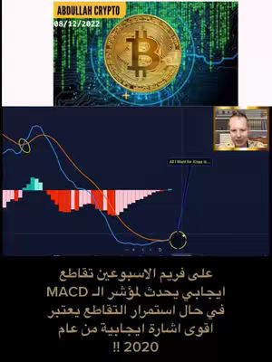The image features a Bitcoin graphic with a chart overlay and a creator's headshot in the video; the image consists of a Bitcoin graphic accompanied by text that contains financial advice.