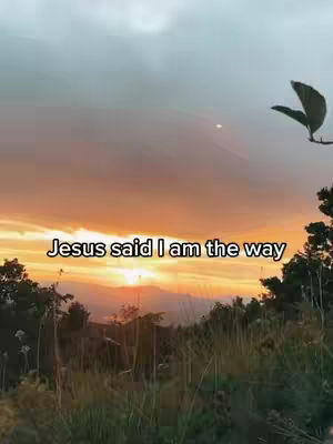 A sunset or sunrise scene with a text overlay. The sky transitions from a hazy orange at the horizon to a darker blue. Silhouettes of trees and foliage are in the foreground, with a few leaves and a branch in the top right. The text, in white, is centered at the bottom.