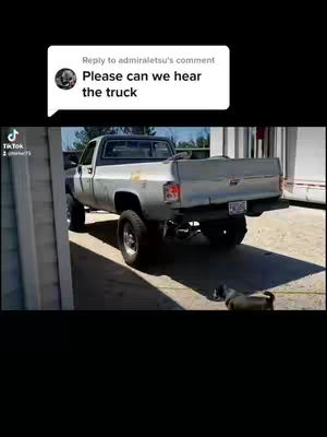 A silver pickup truck is parked in a driveway, with a dog sitting next to it. A comment overlay is present.