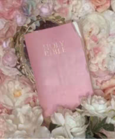 A soft pink-colored Bible lies open amidst a field of lush, white and pink roses. The book, with its title 'HOLY BIBLE' embossed in gold, is the focal point, highlighted by the surrounding flowers.