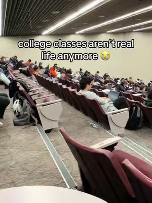 A wide shot shows a large lecture hall filled with students seated in rows of desks. The hall has dim lighting and the students are mostly focused on their laptops or notes.