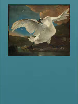The cover image features a painting within a teal rectangular frame, centered on a white swan in a defensive pose. The swan, with its wings spread, is the primary subject; the background includes a landscape with a river or body of water, foliage, and a sky with cloud formations. The color palette of the image includes browns, blues, and whites, giving the painting a classic, somewhat muted appearance.
