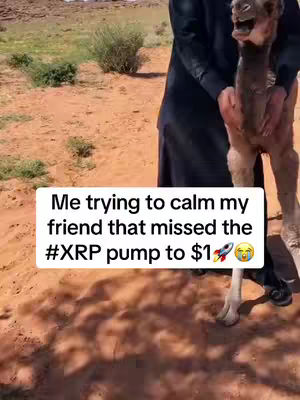 A person in a dark robe is holding a camel calf in a desert setting. A white text box overlays the image, containing the video's hook text.