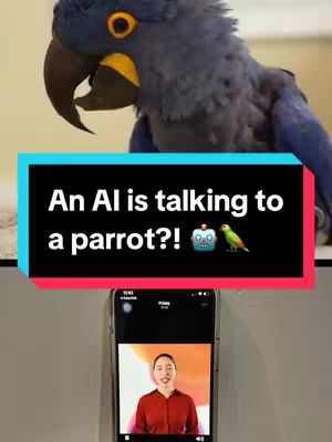 The image shows a blue parrot in the upper portion and a phone displaying a man on the bottom. In between the parrot and the phone is a bar of text with the hook. The parrot is blue with a yellow eye, and is tilted slightly to its left, allowing the viewer to see its beak. The person in the phone is a man in a red shirt and light skin. The background is a neutral color.