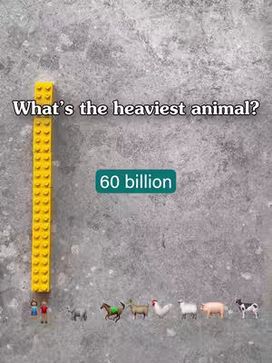 The image features a textured gray background with a yellow Lego tower on the left side and a large green rectangular text box that reads '60 billion'. On the bottom, there are small toy figures, including two people followed by a variety of animal figures like a horse, cow, chicken, sheep, and pig.