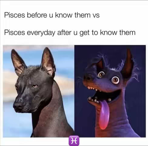 The cover image is a meme comparing two images of a dog. On the left, there's a serious-looking black dog, while on the right, there's a cartoonish, exaggerated dog. The image has the text overlaid.