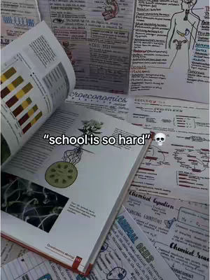 The image shows an open textbook with detailed handwritten notes and diagrams surrounding it. On top of the pages, text overlays read "school is so hard" accompanied by a skull emoji.