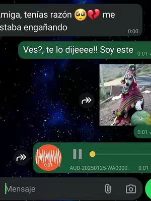 A screenshot of a WhatsApp conversation; a chat bubble shows an image of a dog dressed in traditional Andean clothing. The background has a dark, glittery effect. The image is layered on top of a messaging app interface, with a play button and a waveform displaying.