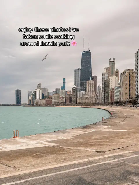 A scenic shot of Chicago's skyline from the lakefront, featuring a cloudy sky, turquoise water, and modern architecture.
