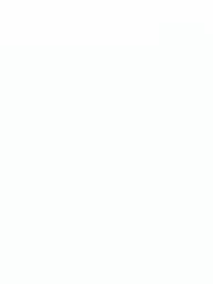 A seemingly blank white image.