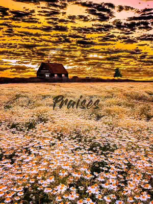A vibrant, painterly landscape at sunset. The sky is a gradient of orange and yellow, with dark, textured clouds. In the midground there is a field of daisy-like flowers, and in the background a small house with a smoking chimney is nestled near a treeline.