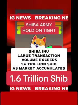 The cover image is a vertical graphic with a red and black color scheme. The top and bottom sections feature stylized red banners with 'IG NEWS' and 'BREAKING NE' in white text. In the center, there's a series of overlaid rectangles: a red banner above a rectangle with 'SHIBA ARMY HOLD ON TIGHT' in white text, and below that, a white rectangle containing 'SHIBA INU LARGE TRANSACTION VOLUME EXCEEDS 1.6 TRILLION SHIB AS MARKET ACCUMULATES' in black text. A cartoon Shiba Inu dog graphic is featured towards the top of the central section. At the bottom is another red banner that displays '1.6 Trillion Shib' in white text. The overall layout is designed to mimic a news update, emphasizing important information in bold, contrasting colors.